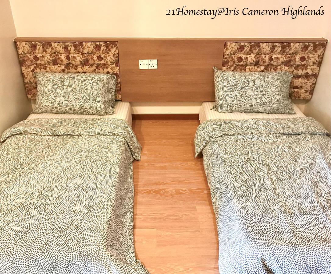 21Homestay Κάμερον Χάιλαντς Εξωτερικό φωτογραφία